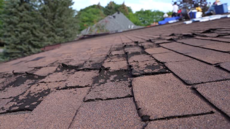 Professional Roofing Service in Belle Plaine, KS