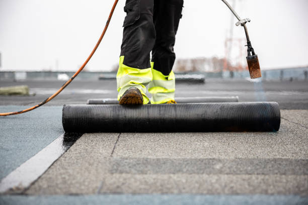 Best Roof Coating and Sealing  in Belle Plaine, KS