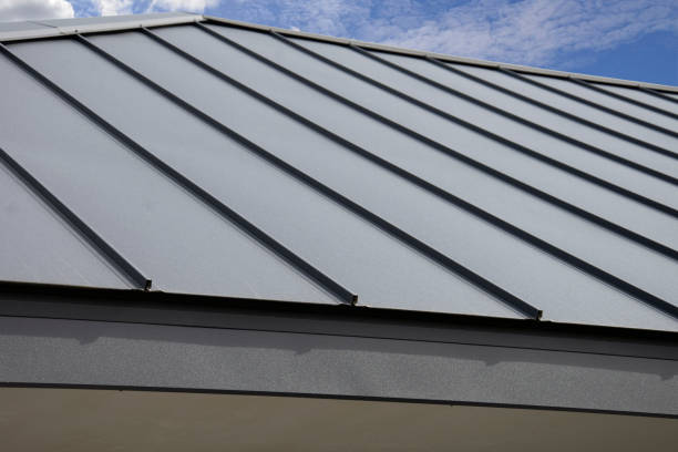 Best Roof Maintenance and Cleaning  in Belle Plaine, KS